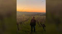 Kush ua qetëson zemrat shqiptarëve?