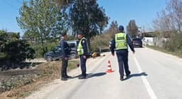 Aksident tragjik pranë Fierit/ Tentoi të parakalonte makinën, ndërron jetë drejtuesi i motoçikletës (EMRI)